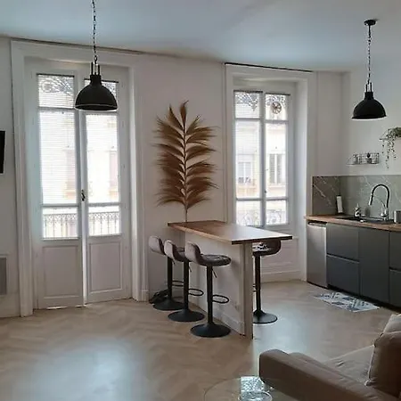 Superbe Proche Part-dieu Apartment